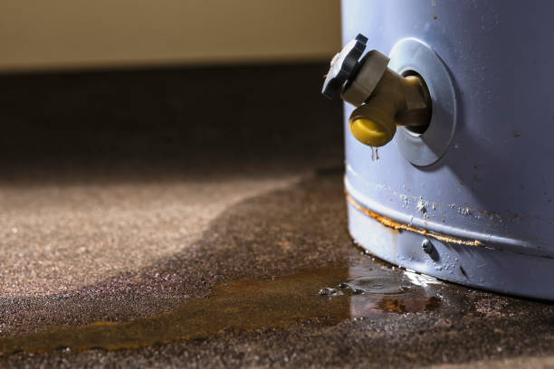 Best Ceiling water damage repair  in Miami Heights, OH