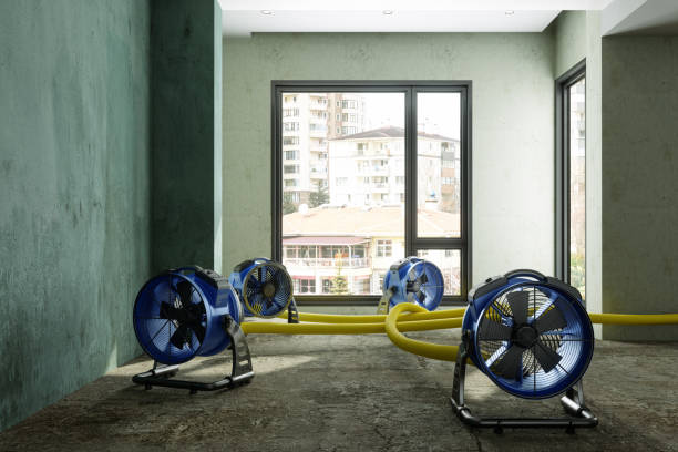 Best Local water damage restoration  in Miami Heights, OH